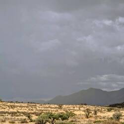Ja, genau in der Wolke liegt unser Camp! 🌧️