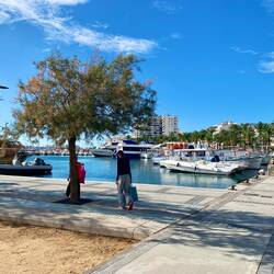 Erneute Shoppingtour bei Lidl