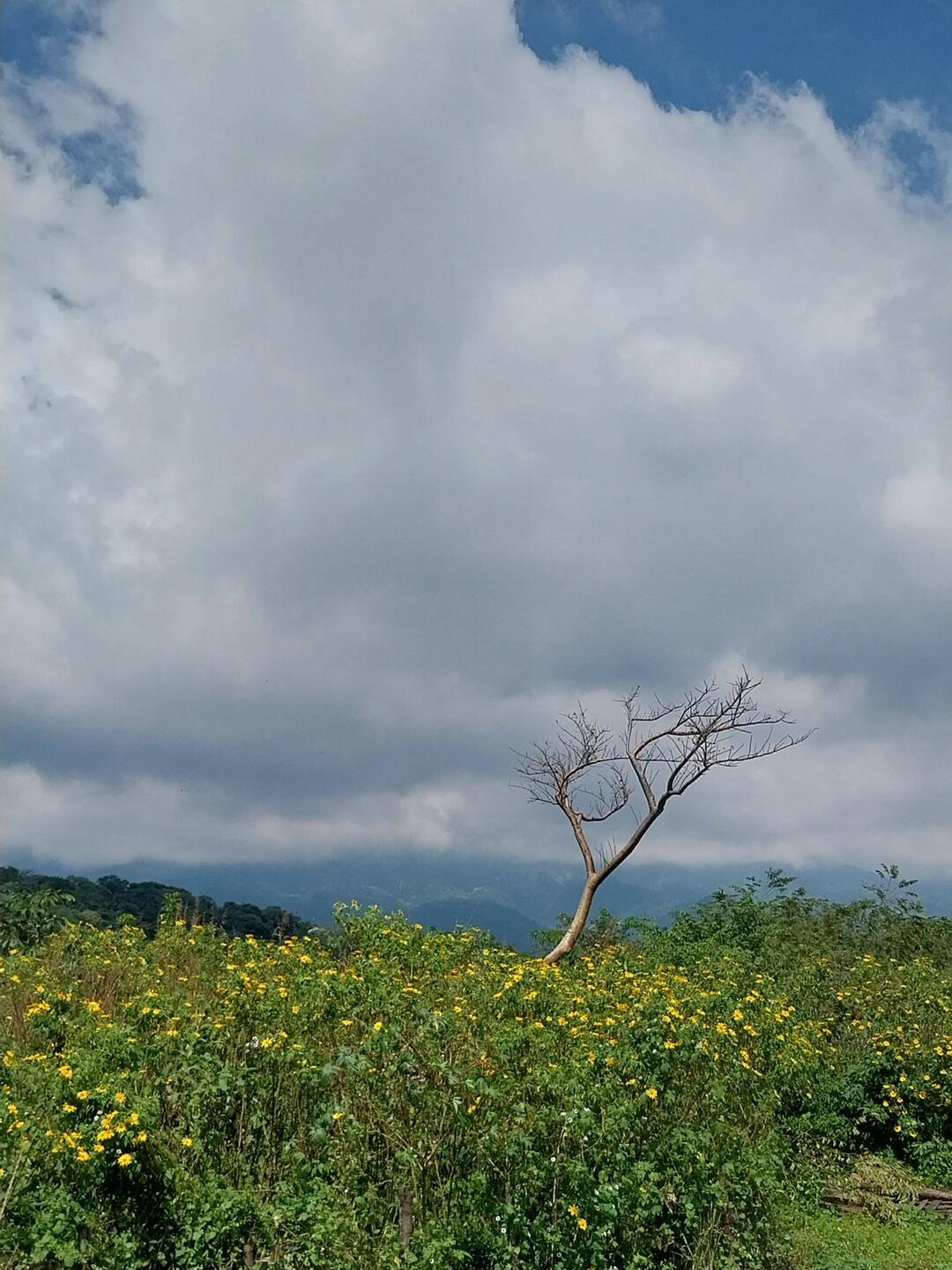 Der Vulkan Fuego, heute ganz in Wolken