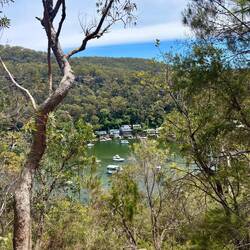 Berowra Waters