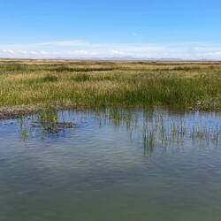 Weiter zur Insel Taquille