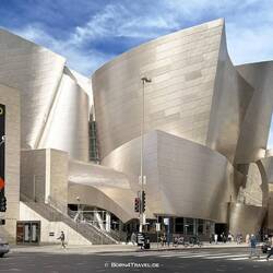 ...die tief stehende Sonne lässt sie golden aussehen