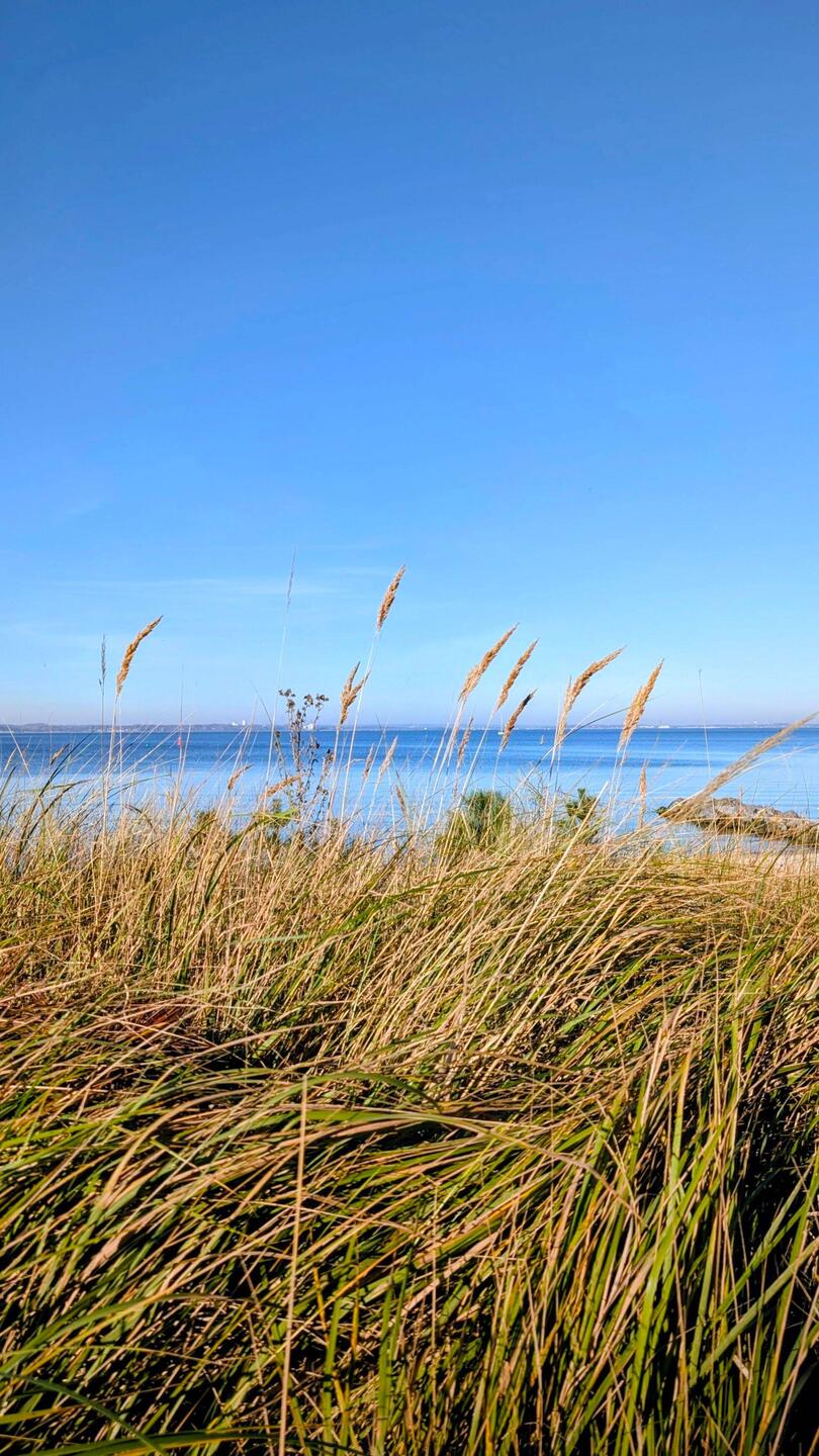 Everything happens for a reason