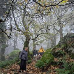 Descending into Dimosaris Gorge