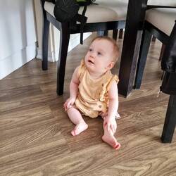 Freya ist jetzt auch auf den Geschmack des Sitzens gekommen 🧘🏼‍♀️