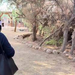 ...der Weg ist da Ziel...