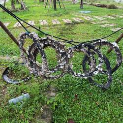 So werden Austern gezüchtet ☺️