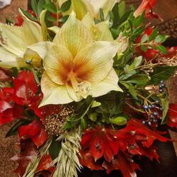 Danke liebe Inge❣️