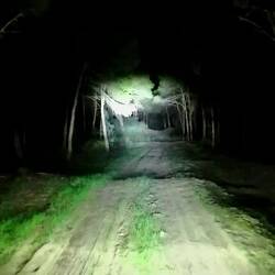 Der Hinweg im Dunkeln