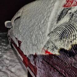 Das letzte freikratzen vorm schlafen gehen