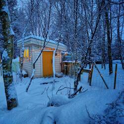 Lila hat das Hühnerhaus schon in Weihnachtsstimmung gebracht