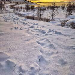 Diesen ganzen Weg muss ich schon wieder freischaufeln