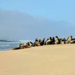 Vorher gehen wir das Wetter auszunutzen und besuchen die Nachbarn