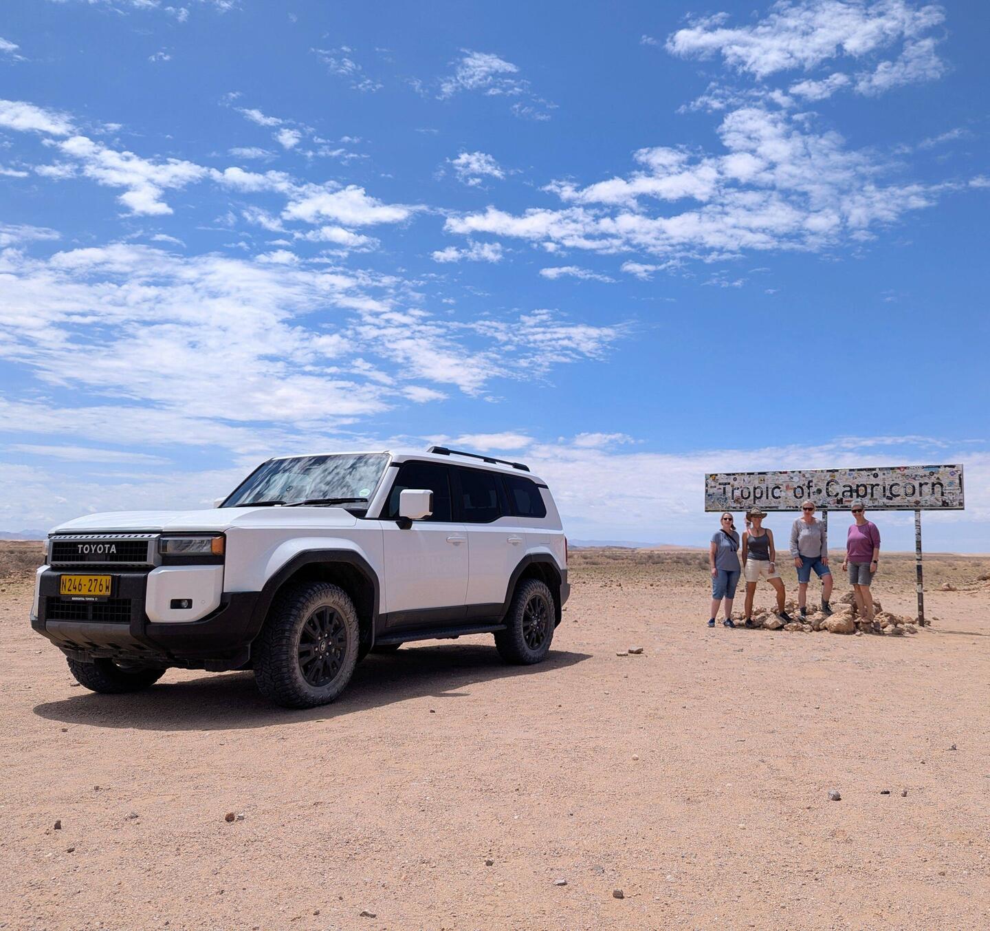 Vier zebra-Stuten und ihr Hengst... 😂