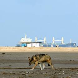 Freundliche Begegnungen