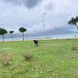 ..und entscheiden während dem Spazieren, doch heute Nachmittag weiter zu fahren..