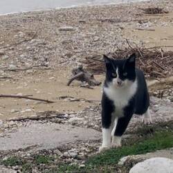 ..unsere Lesley ist gar nicht so böse, aber hier ist sie daheim meint sie,dabei war die so herzig😻