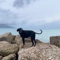 ..wir genießen den Tag ☺️