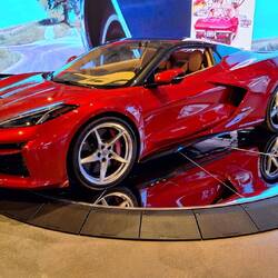 Die hier gefällt Dieter