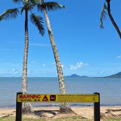 ....mit Hindernissen