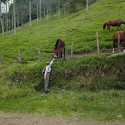 Ein Mampf für ein Pferd