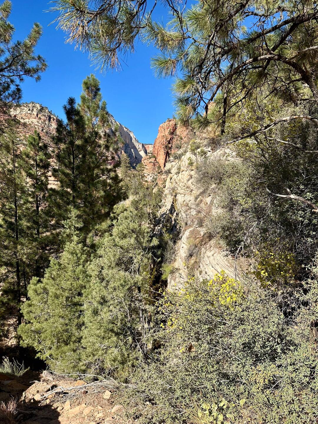 Blick vom „Zion – Mount Carmel Hwy“