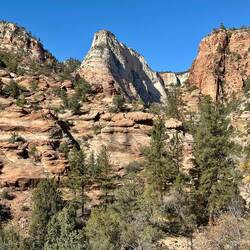 Blick vom „Zion – Mount Carmel Hwy“