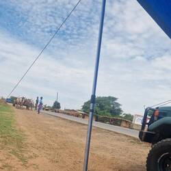 Vierspänner, leider blockieren wir seinen Weg.