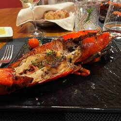 Scheues, einheimisches Wildtier