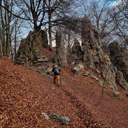 ... und hier, mit tiefen Blätterfurchen!