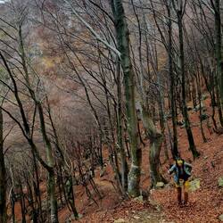 ... rauf zur Alpe Bolla ...