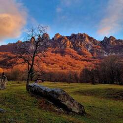 ... oder die "Zähne der Alten" auf Deutsch übersetzt!😂