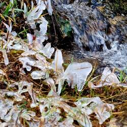 Kunstwerke der Natur!