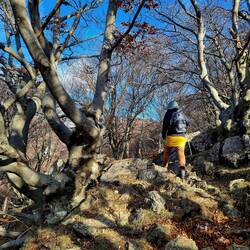 Abwechslungsreiche Pfade