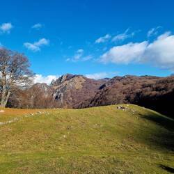 Blick von der Alpe Bolla zu den Denti della Vecchia