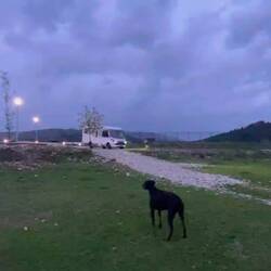 ..ganz schön wackelig hier runter, aber der Boden ist hart 👍🏻 das passt gut für eine Nacht 😴