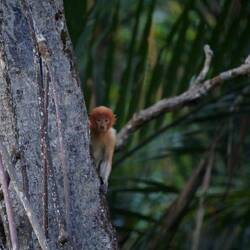und au üseri Letschtä🤩🥰😍