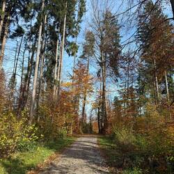 Wunderschöner Herbst 🍂🍁