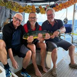 Drei "Hechte" fangen einen Mahi mahi 🐠