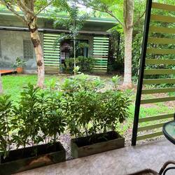 Blick aus unserer Eingangstür