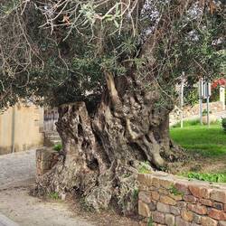 geschätzt auf 3000-5000Jahre