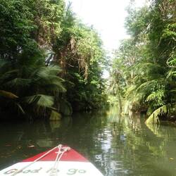 Fahrt mit Edison tours in den Indian River hinein
