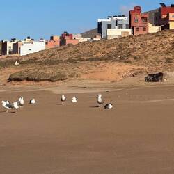 Zwischen den Häusern finden wir einen Weg zum Strand - geteert wie bei uns, gibt es nicht