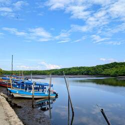 Lagune und Mangroven