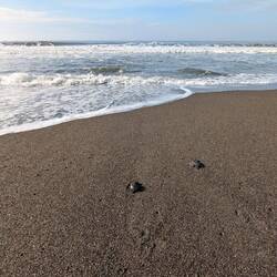Ein ständiges vor und zurück. Kommt eine Welle, fängt man wieder von vorne an