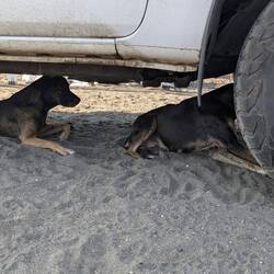 Na, miad von da Nacht ? I a😤😡