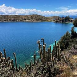 Cactuses and cristal-clear water