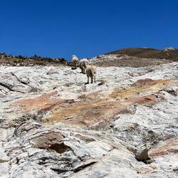 The rocky crest path