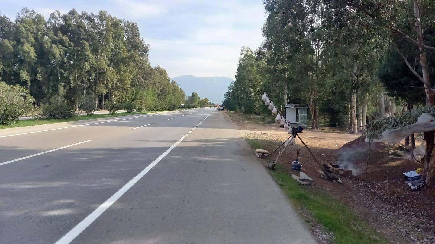 Vente de lactaires en bord de route