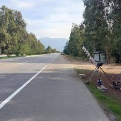 Vente de lactaires en bord de route